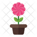 پیش‌نمایش فایل flower-pot-3392345 از پک بهار