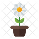 پیش‌نمایش فایل flower-pot-3392346 از پک بهار