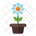 پیش‌نمایش فایل flower-pot-3392347 از پک بهار