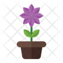 پیش‌نمایش فایل flower-pot-3392348 از پک بهار