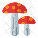 پیش‌نمایش فایل mushroom-3392365 از پک بهار
