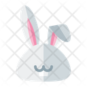 پیش‌نمایش فایل rabbit-3392331 از پک بهار