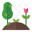 پیش‌نمایش فایل tree-3392370 از پک بهار