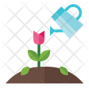 پیش‌نمایش فایل watering-3392374 از پک بهار