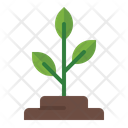 پیش‌نمایش فایل plant-3392212 از پک روز زمین
