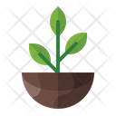 پیش‌نمایش فایل plantation-3392210 از پک روز زمین