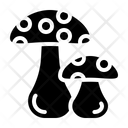 پیش‌نمایش فایل oyster-3545671 از پک سبزیجات