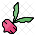 پیش‌نمایش فایل beetroot-3545573 از پک سبزیجات