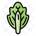 پیش‌نمایش فایل cabbage-3545578 از پک سبزیجات