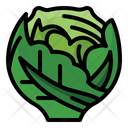 پیش‌نمایش فایل cabbage-3545579 از پک سبزیجات