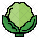 پیش‌نمایش فایل cauliflower-3545581 از پک سبزیجات