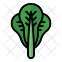 پیش‌نمایش فایل lettuce-3545563 از پک سبزیجات
