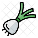 پیش‌نمایش فایل shallot-3545590 از پک سبزیجات
