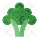پیش‌نمایش فایل broccoli-3545593 از پک سبزیجات