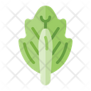 پیش‌نمایش فایل cabbage-3545594 از پک سبزیجات