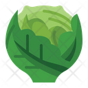پیش‌نمایش فایل cabbage-3545595 از پک سبزیجات
