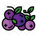 پیش‌نمایش فایل blueberry-3545458 از پک میوه