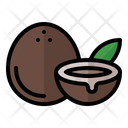 پیش‌نمایش فایل coconut-3545462 از پک میوه