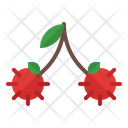 پیش‌نمایش فایل rambutan-3545491 از پک میوه