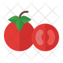 پیش‌نمایش فایل tomato-3545492 از پک میوه
