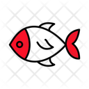 پیش‌نمایش فایل fish-12246288 از پک طبیعت