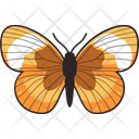 پیش‌نمایش فایل easter-butterfly-11243984 از پک عید پاک