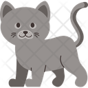 پیش‌نمایش فایل cat-breed-british-short-hair-11084097 از پک نژادهای گربه