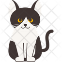 پیش‌نمایش فایل cat-breed-cornish-rex-11084099 از پک نژادهای گربه