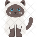 پیش‌نمایش فایل cat-breed-himalayan-11084101 از پک نژادهای گربه