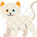 پیش‌نمایش فایل cat-breed-khao-manee-11084103 از پک نژادهای گربه