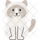 پیش‌نمایش فایل cat-breed-ragdoll-11084105 از پک نژادهای گربه