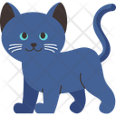 پیش‌نمایش فایل cat-breed-russian-blue-11084106 از پک نژادهای گربه