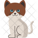 پیش‌نمایش فایل cat-breed-snowshoe-11084111 از پک نژادهای گربه