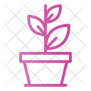 پیش‌نمایش فایل plant-pot-4700754 از پک محیط‌زیست و بازیافت
