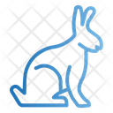 پیش‌نمایش فایل rabit-4699040 از پک فروشگاه حیوانات خانگی