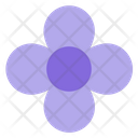 پیش‌نمایش فایل flower-5485196 از پک رابط کاربری، نسخه ۲