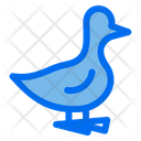پیش‌نمایش فایل duck-5486655 از پک کشاورزی
