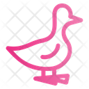 پیش‌نمایش فایل duck-5486584 از پک کشاورزی