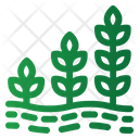 پیش‌نمایش فایل planting-5486600 از پک کشاورزی