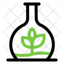 پیش‌نمایش فایل botany-experiment-5486527 از پک کشاورزی