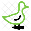 پیش‌نمایش فایل duck-5486534 از پک کشاورزی