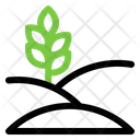 پیش‌نمایش فایل plantation-5486549 از پک کشاورزی