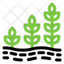پیش‌نمایش فایل planting-5486550 از پک کشاورزی