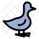 پیش‌نمایش فایل duck-5486484 از پک کشاورزی