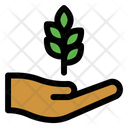 پیش‌نمایش فایل plant-5486498 از پک کشاورزی