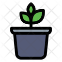 پیش‌نمایش فایل plant-pot-5486502 از پک کشاورزی