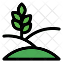 پیش‌نمایش فایل plantation-5486499 از پک کشاورزی