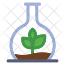 پیش‌نمایش فایل botany-experiment-5486427 از پک کشاورزی