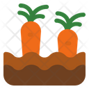 پیش‌نمایش فایل carrot-5486430 از پک کشاورزی