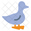 پیش‌نمایش فایل duck-5486434 از پک کشاورزی